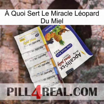 À Quoi Sert Le Miracle Léopard Du Miel 11